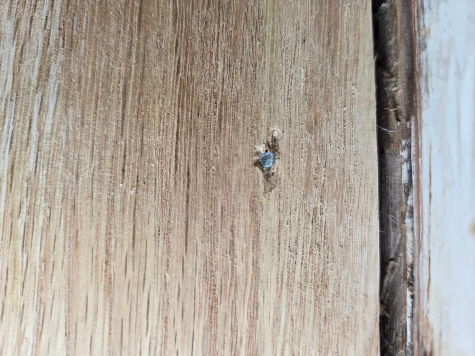 Sep 22: exposed face nail at the jamb.